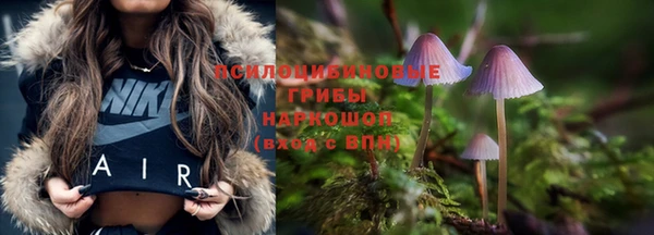 a pvp Костерёво