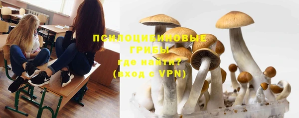 дурь Корсаков