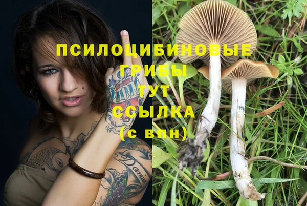 дживик Коряжма