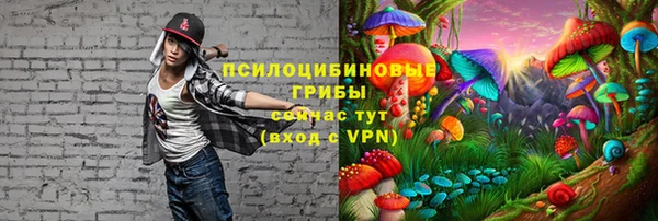 дживик Коряжма