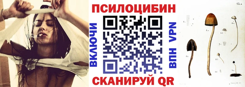 Псилоцибиновые грибы GOLDEN TEACHER  Купить где  Муром 